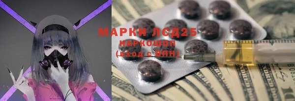 дмт Алзамай
