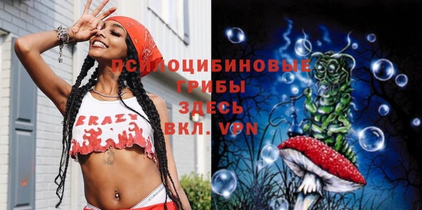 гашик Алексеевка