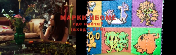 дмт Алзамай
