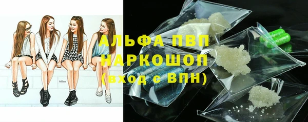 гашик Алексеевка