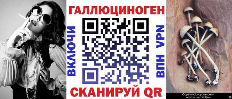 Псилоцибиновые грибы Psilocybine cubensis Лесосибирск