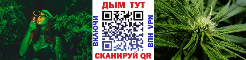 как найти   Лесосибирск  Канабис OG Kush 